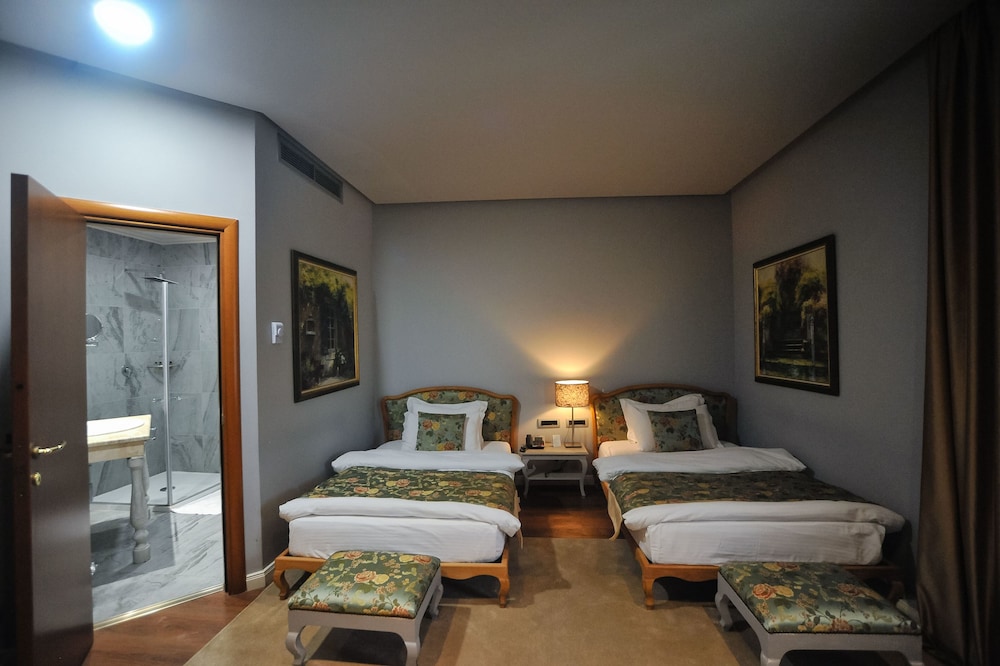 Classic Hotel 18/39
