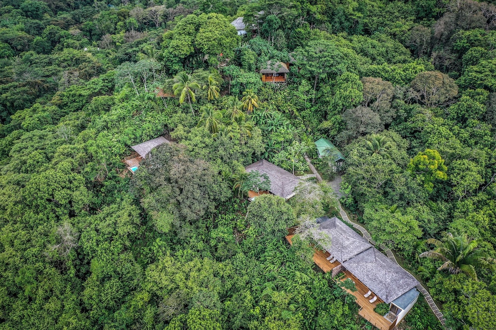 Lapa Rios Eco Lodge 26/50