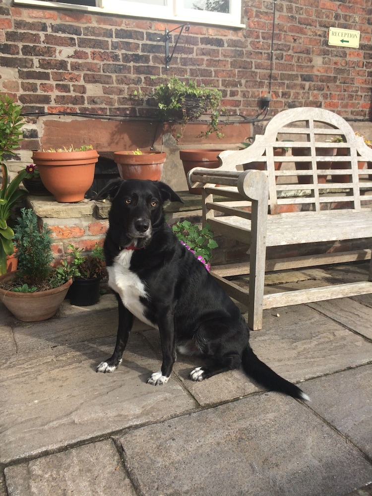 Pickmere Country Guest House 41/50