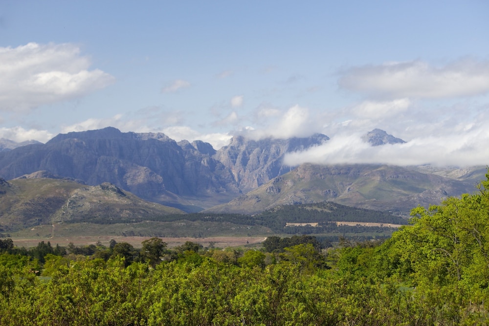 Boschendal 47/50