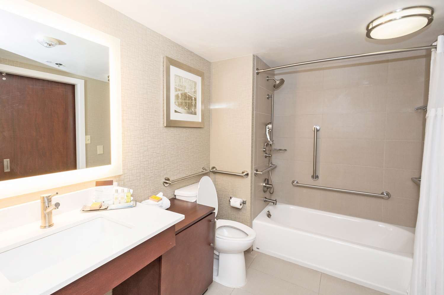 1 Bedroom, Suite, King Bed, Accessible