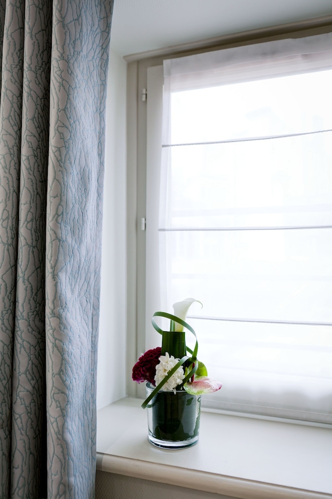 フェニックス 写真3