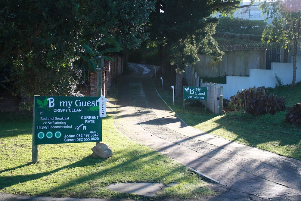 B My Guest ( Acornhill ) 36/42