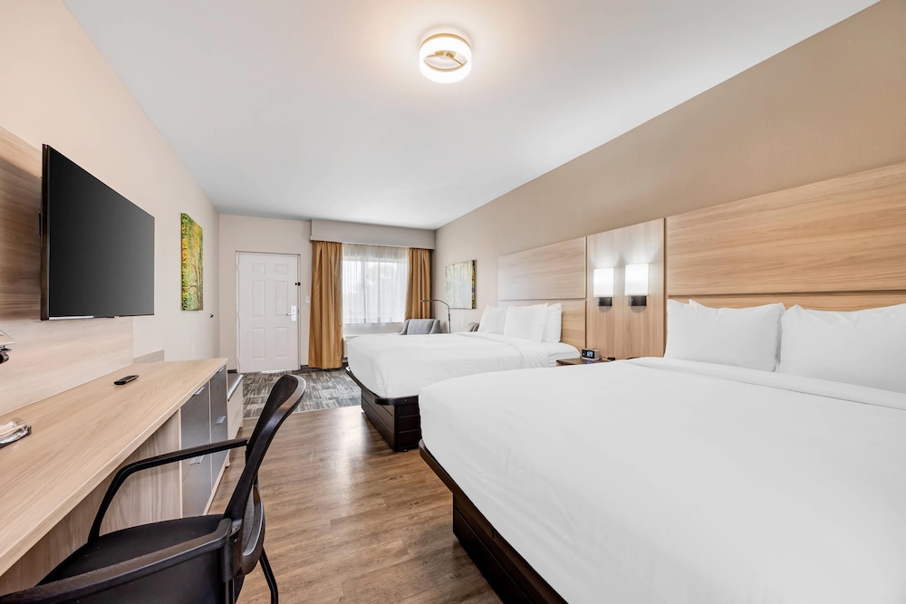 STANDARD, 2 QUEEN BEDS
