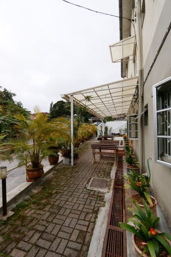 Swing and Pillows at Golden Lodge Tanah Rata, Cameron Highland 10/11