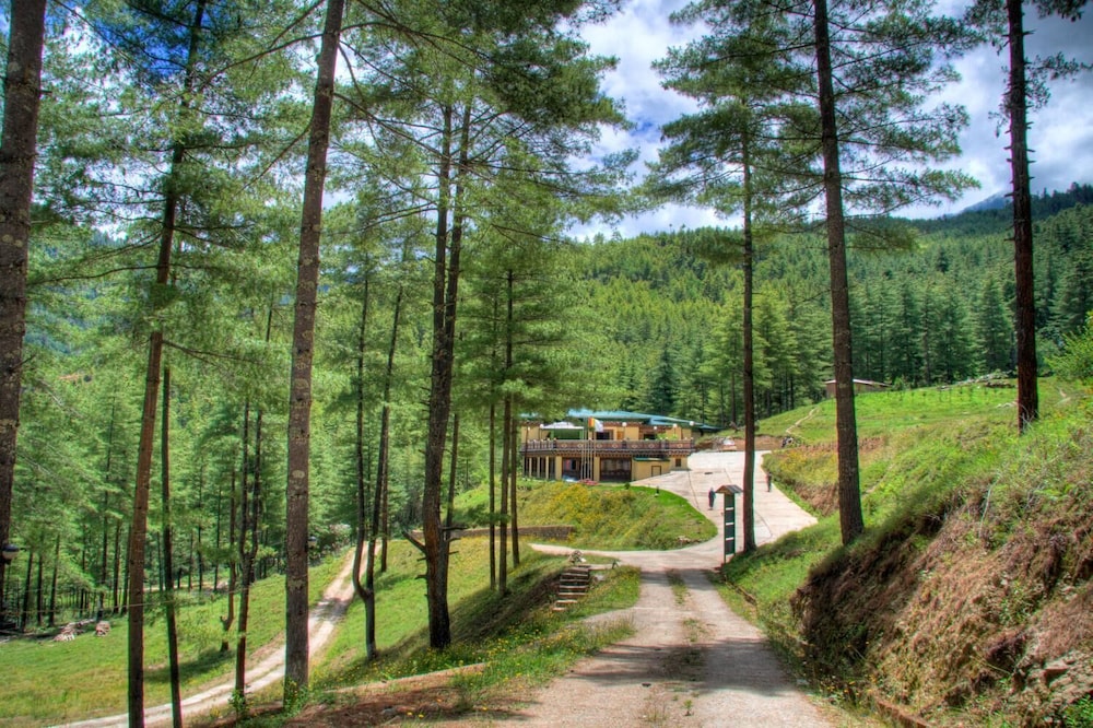 Lemon Tree Resort, Thimphu, Bhutan 23/37
