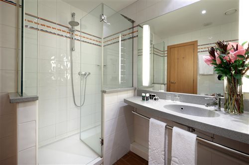 Room, Double or Twin Bed