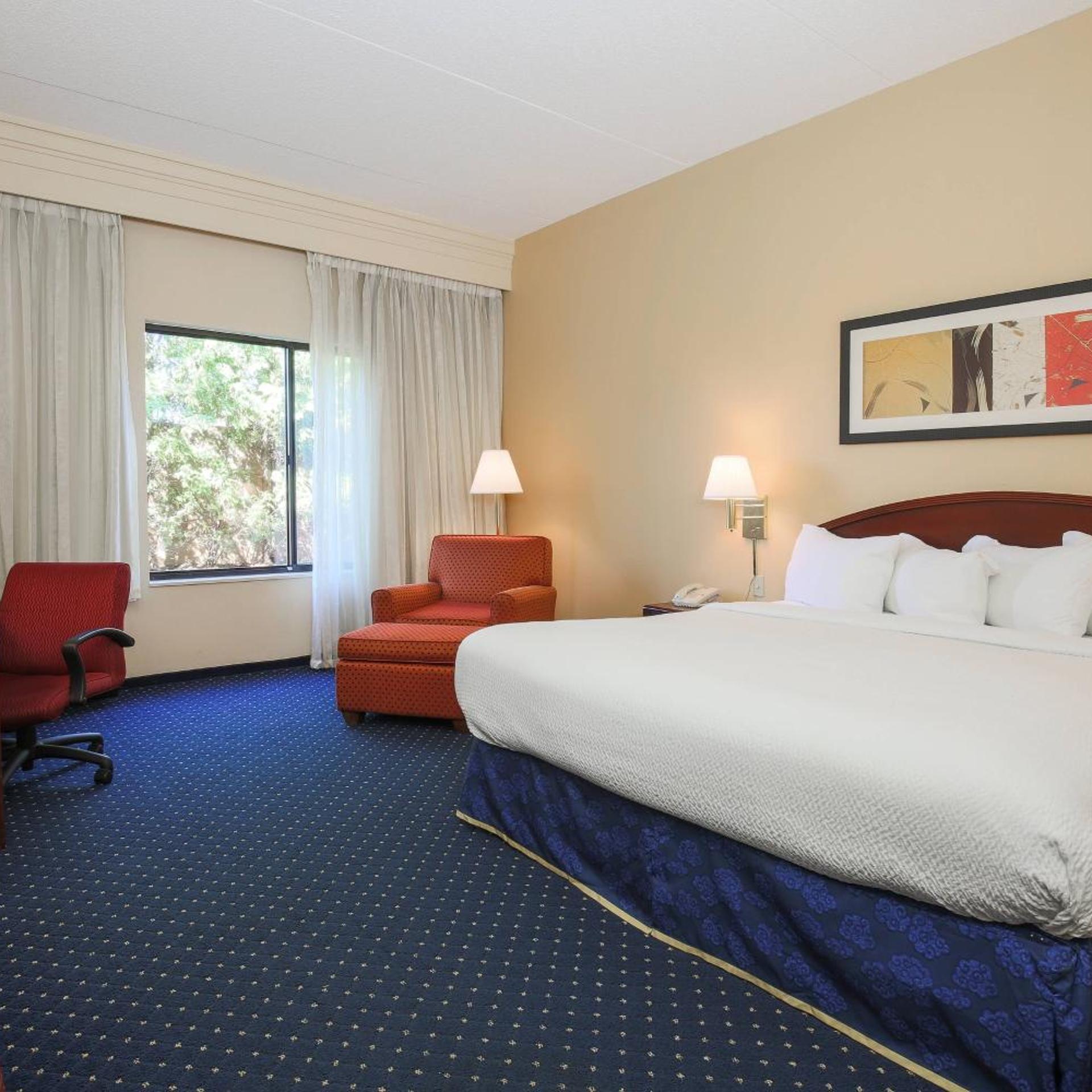 Room, King Bed, Sofa, Bathtub, Accessible