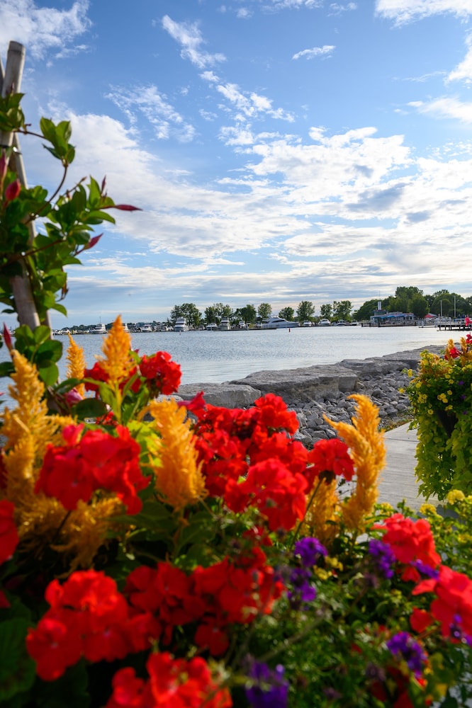 Days Inn by Wyndham Sarnia Harbourfront 23/59