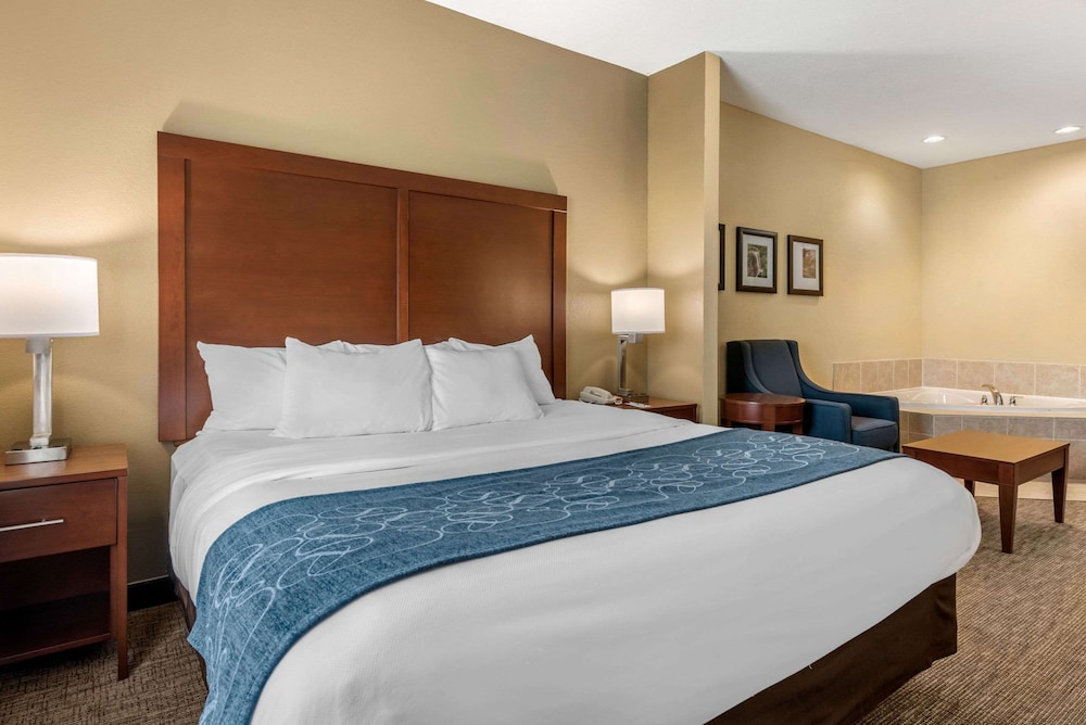Comfort Suites Dayton-Wright Patterson 5/39