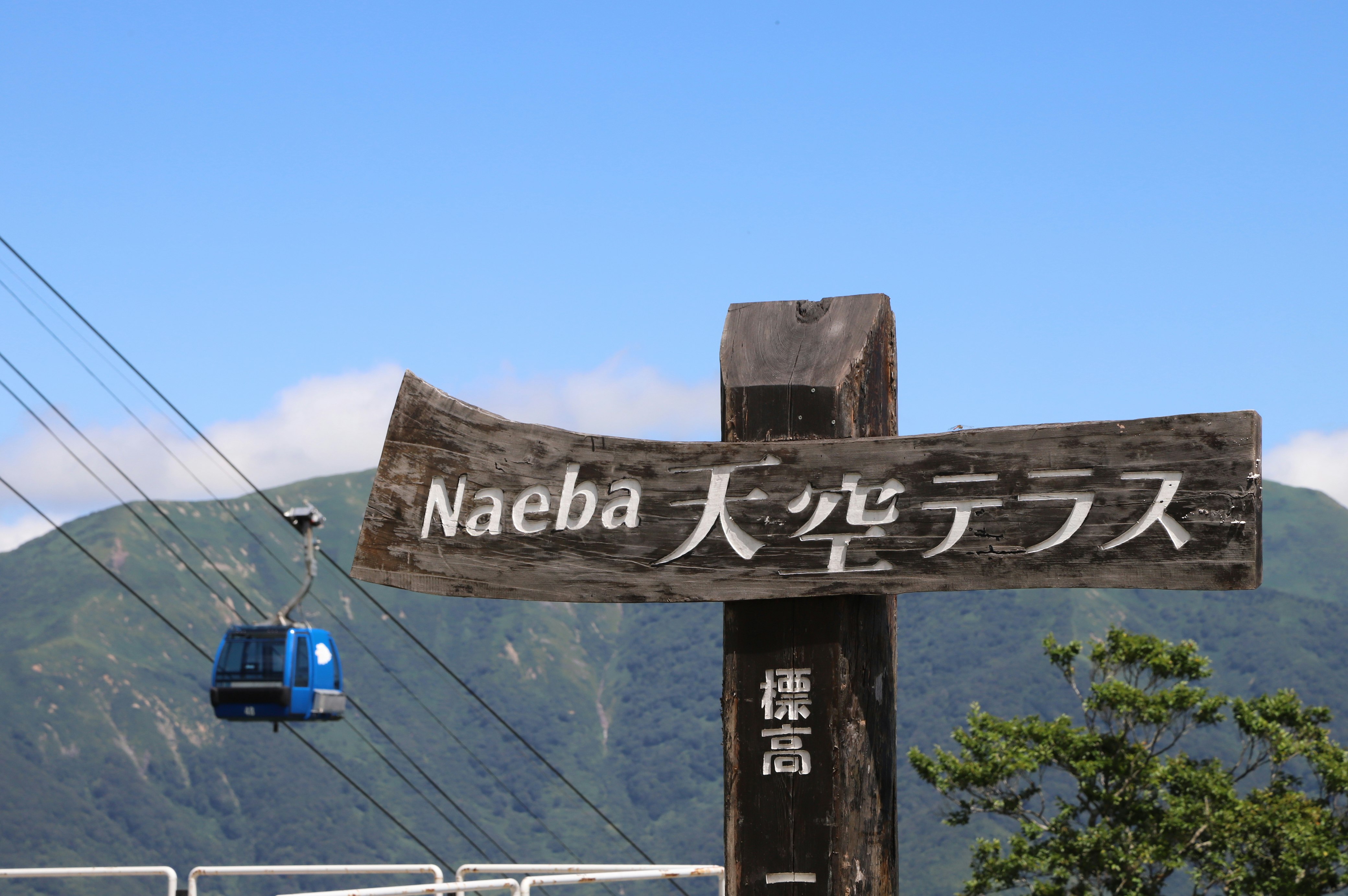 Naeba Prince Hotel 3/50