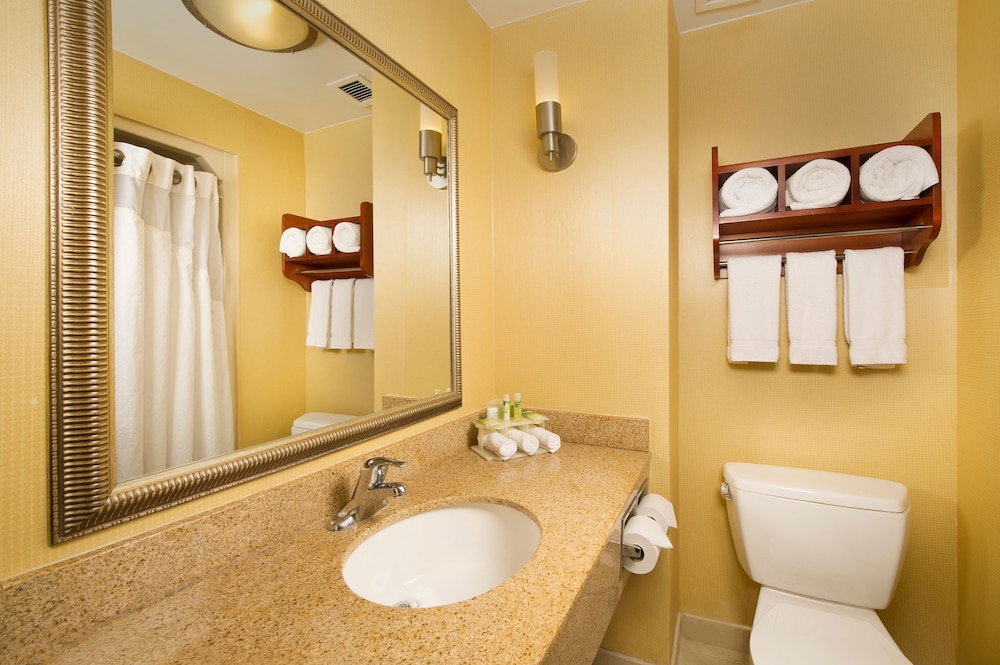 Holiday Inn Express Washington DC-BW Parkway 20/73