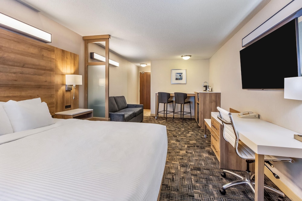 Suite, Queen Bed