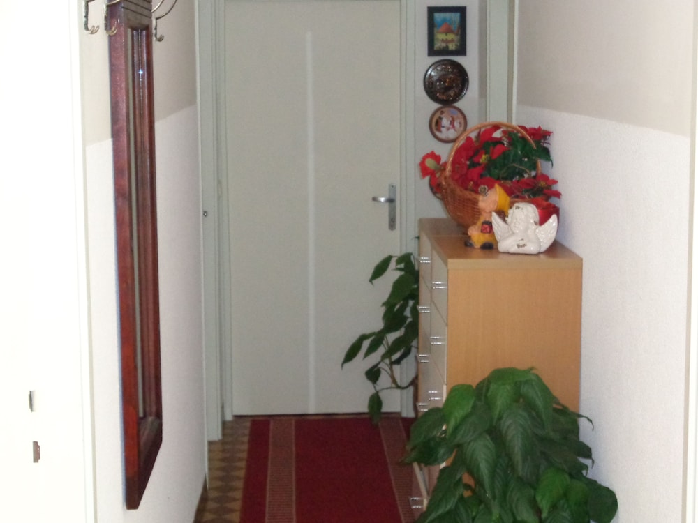 Anna Guesthouse 7/50