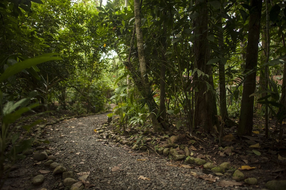 Tierra De Sueños Lodge And Wellness Center 43/50