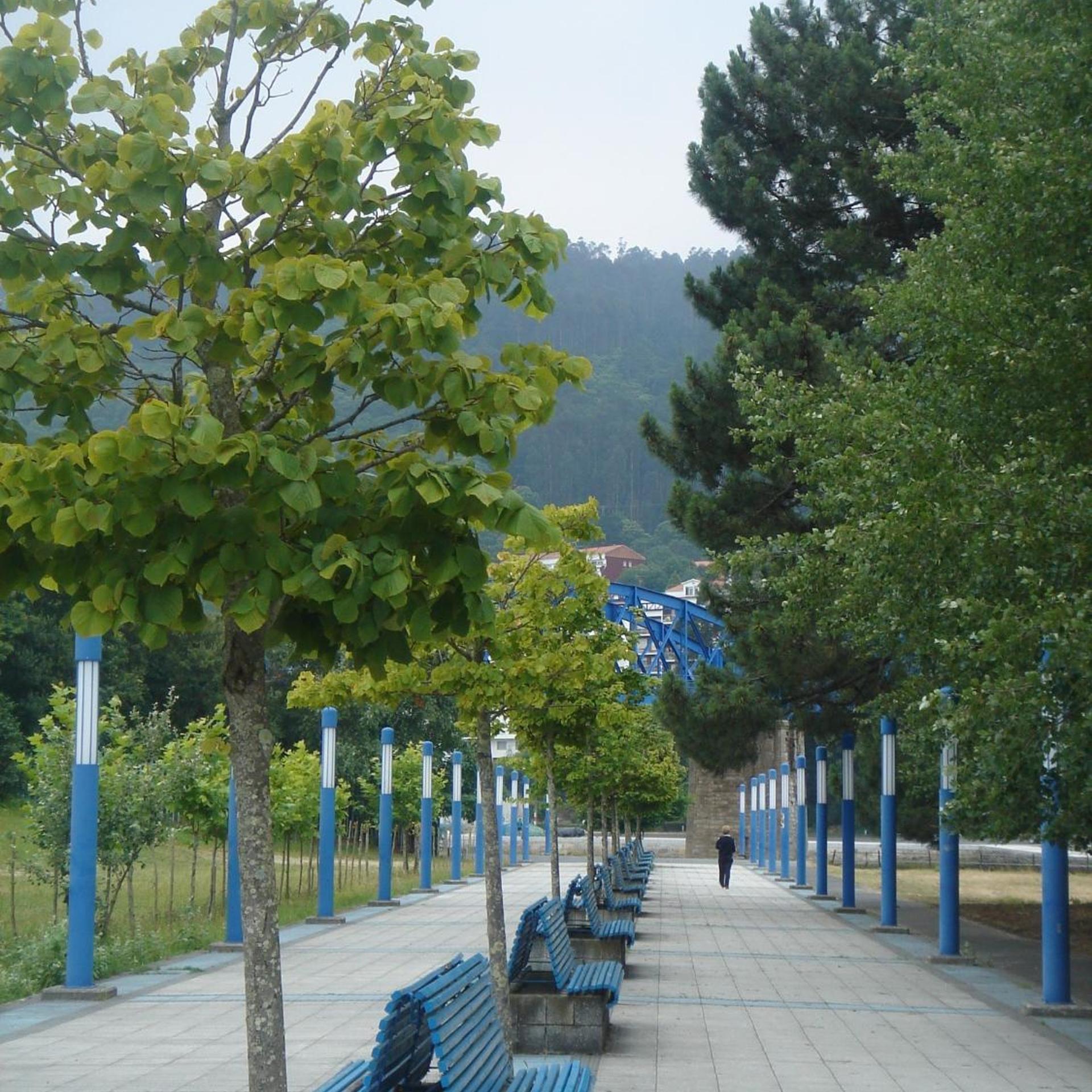 Sarga Sentirgalicia Apartmentos 45/55