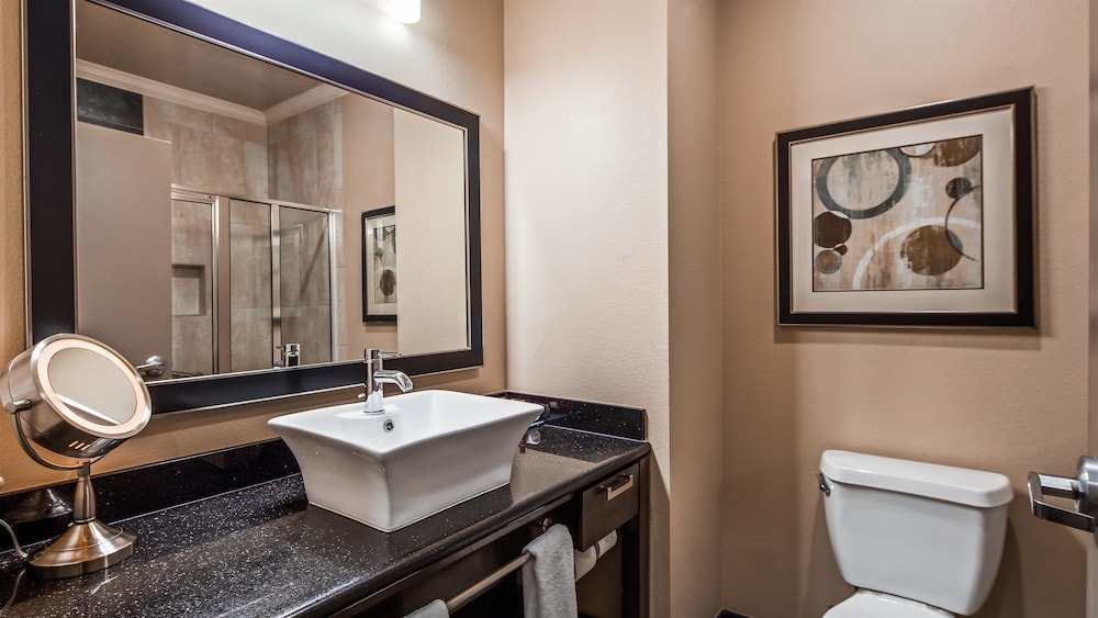 Best Western Premier Crown Chase Inn and Suites 31/70