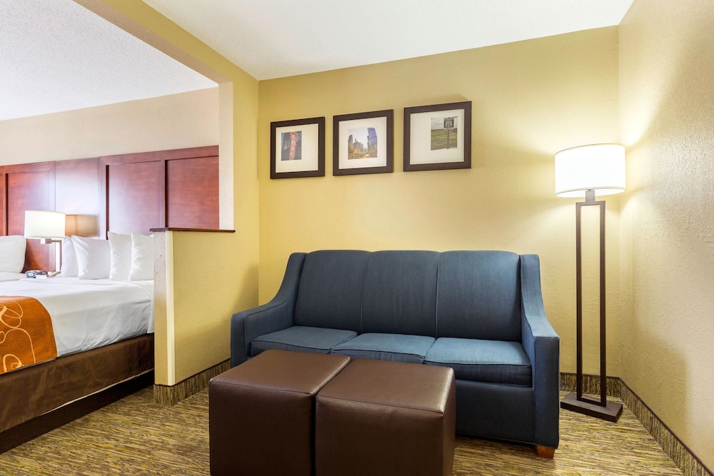 Comfort Suites Near I-80 And I-94 21/39