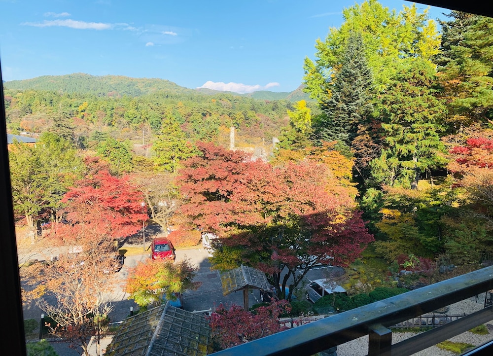 Nikko Hoshinoyado 37/46