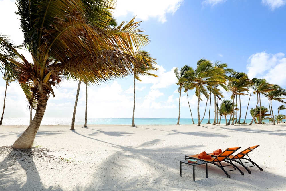 TRS Cap Cana Waterfront & Marina Hotel Adults Only All Inclusive Hotel 42/50