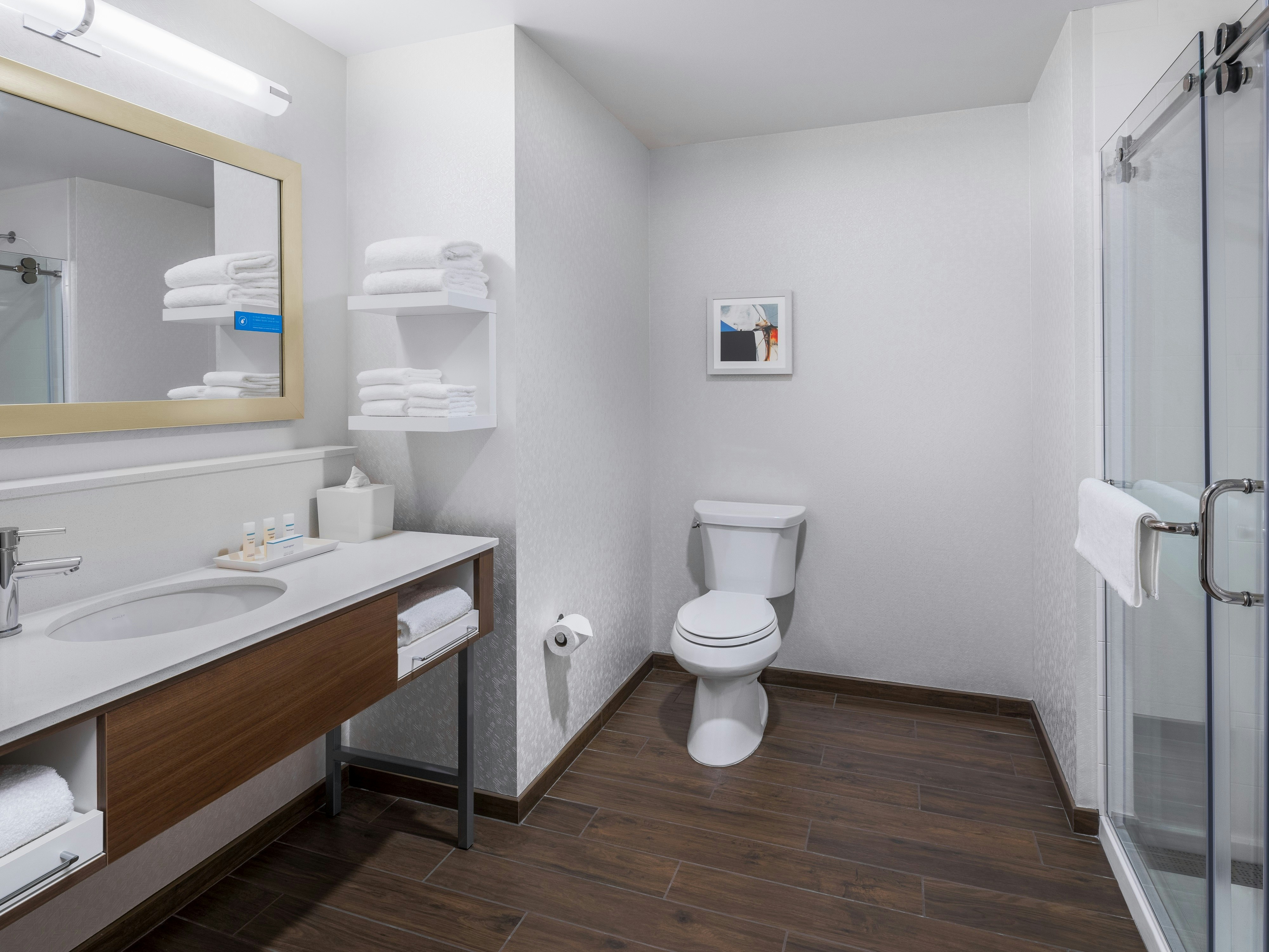 Hampton Inn Chicago Mccormick Place Il 79/80