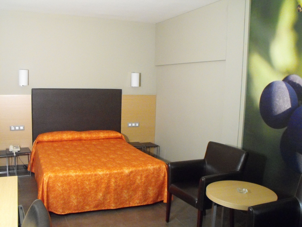 Hotel Pere III el Gran 6/37