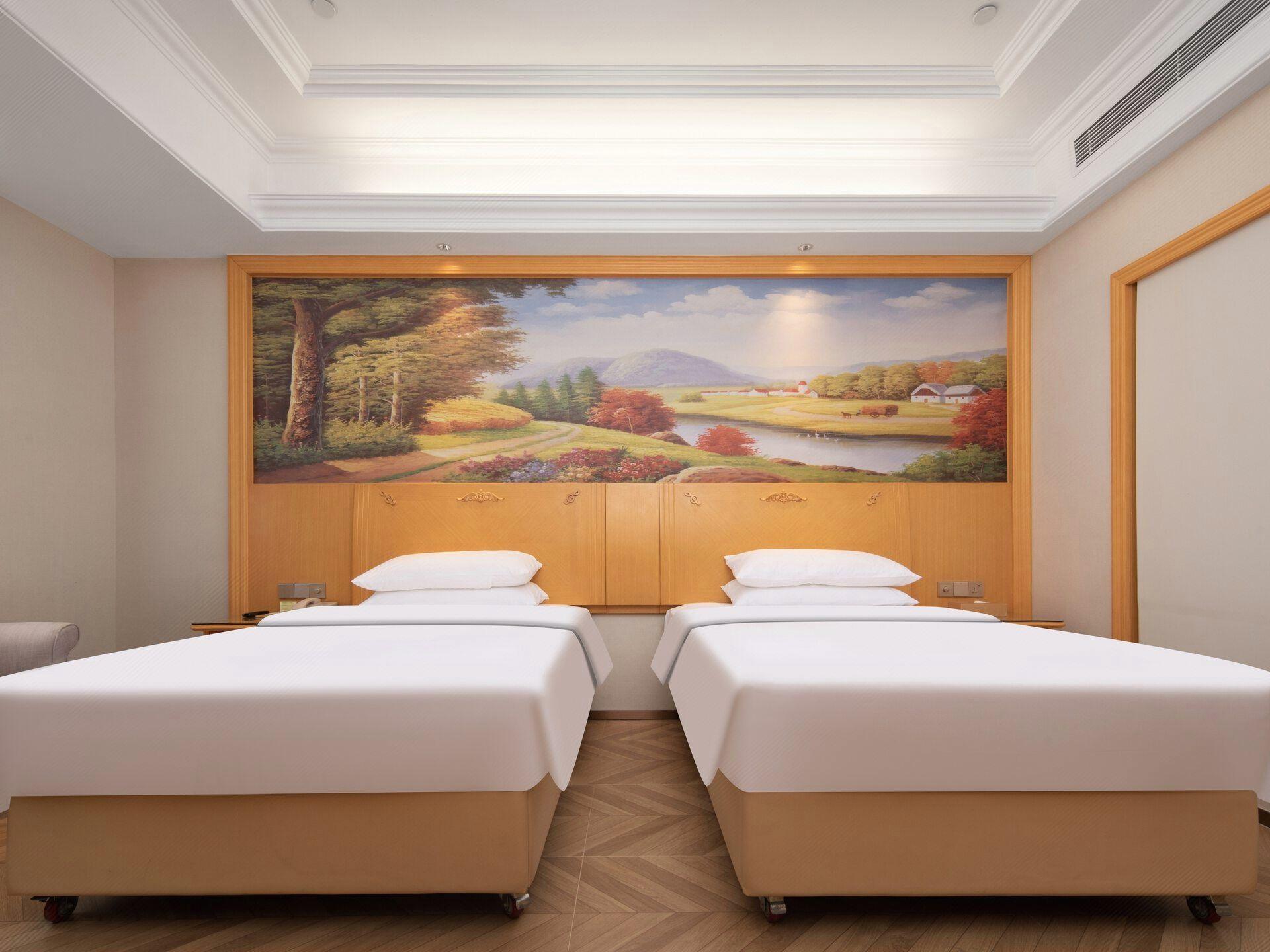 Vienna International Hotel (Wuhan Hanxi) 46/66