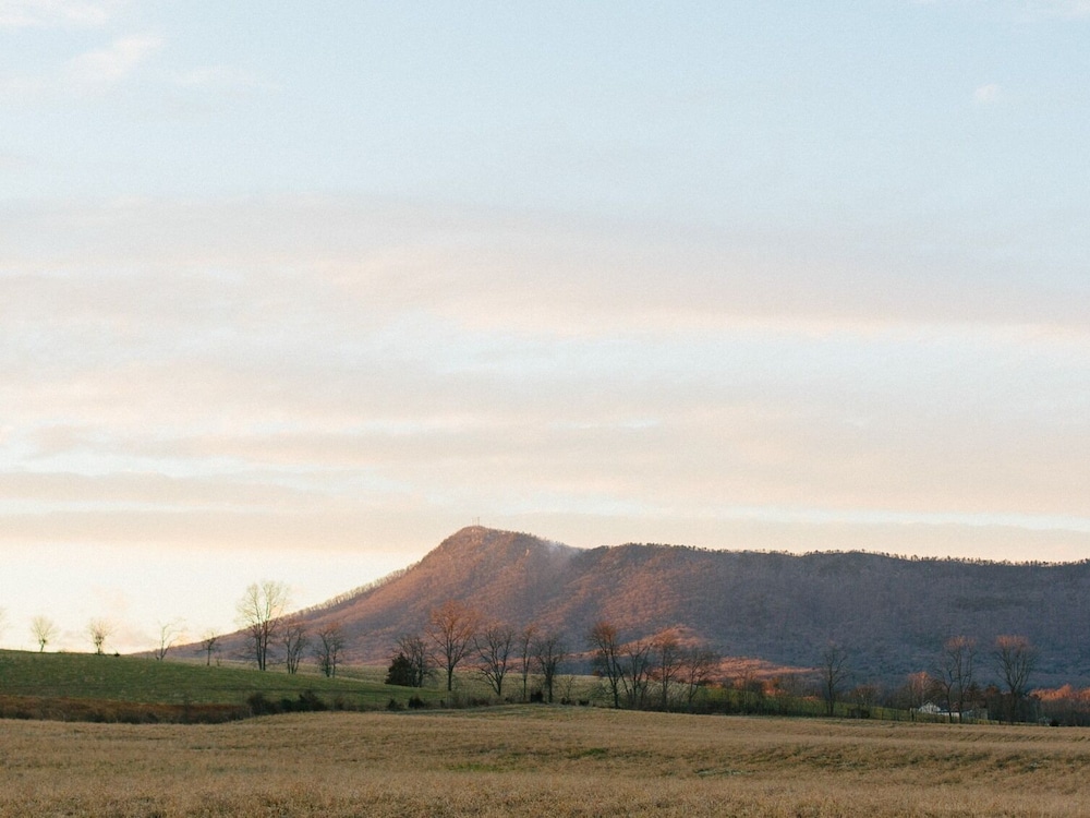 Cave Hill Farm Bed and Breakfast 44/50