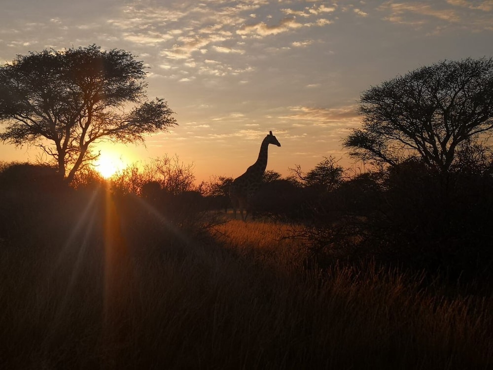 Gamagara Africa Private Nature Reserve 42/49