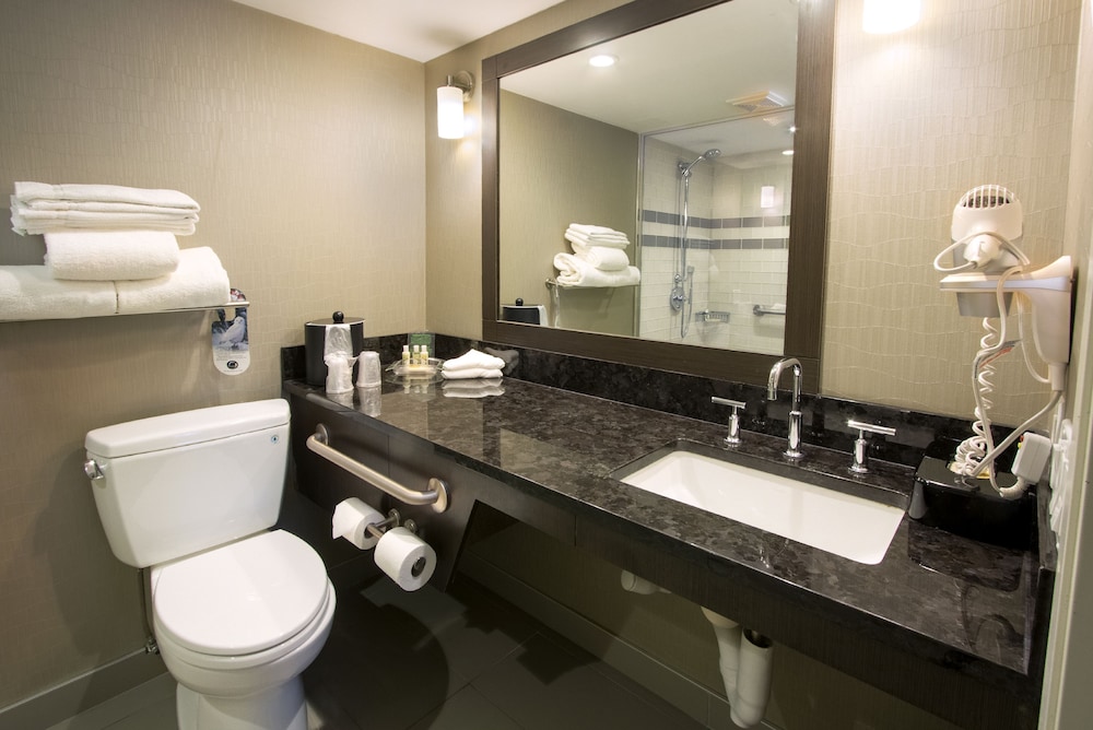 Holiday Inn Calgary- Airport 26/65