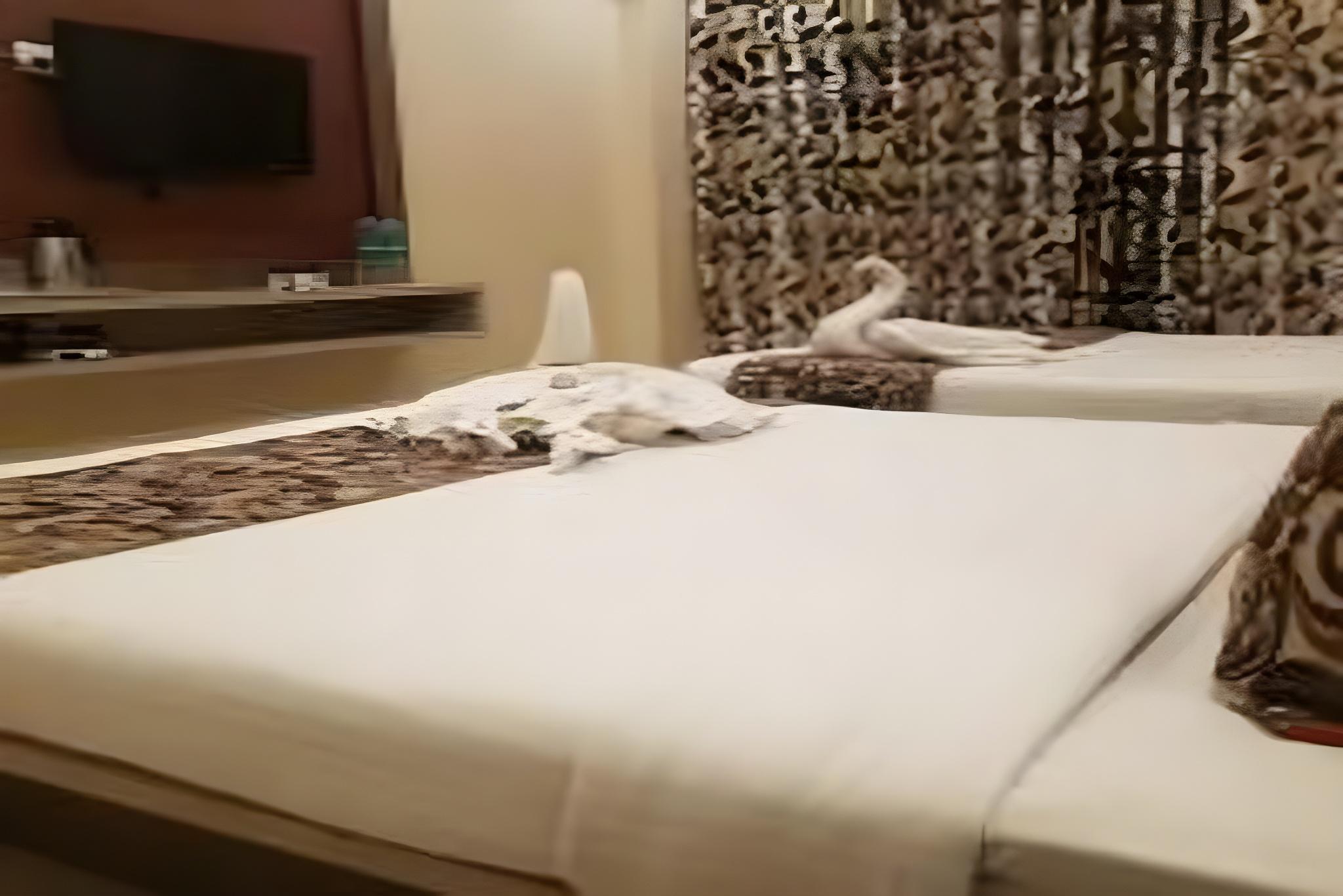 Hotel Sai Chhatra 14/26