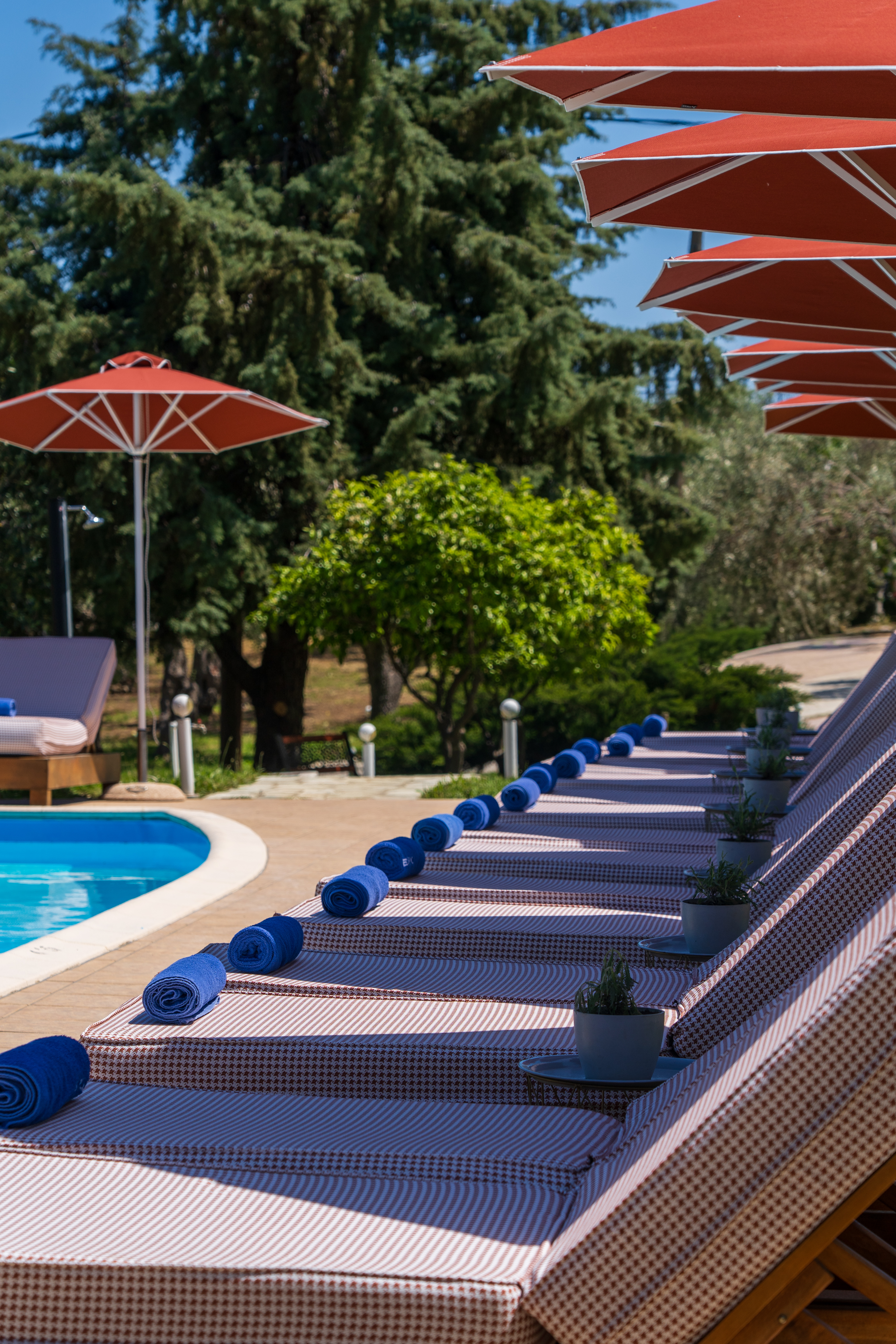 Skiathos Avaton Garden 59/67