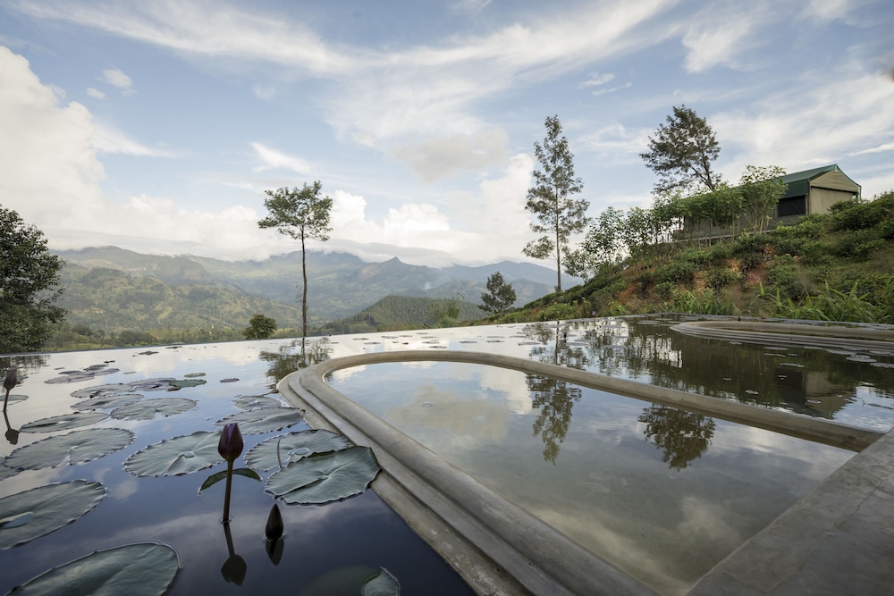 Madulkelle Tea And Eco Lodge 23/43