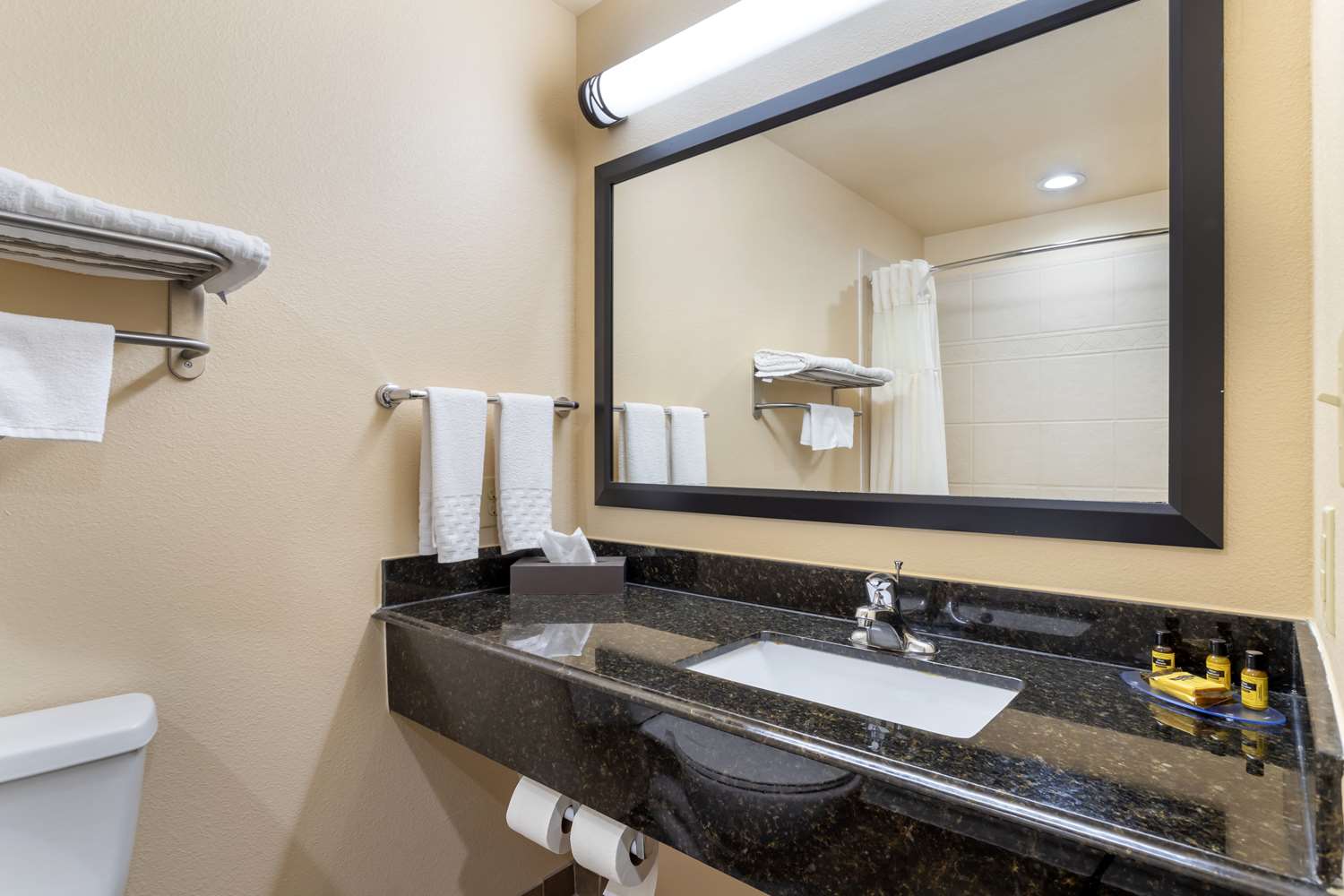 Best Western Plus Goliad Inn and Suites 16/16