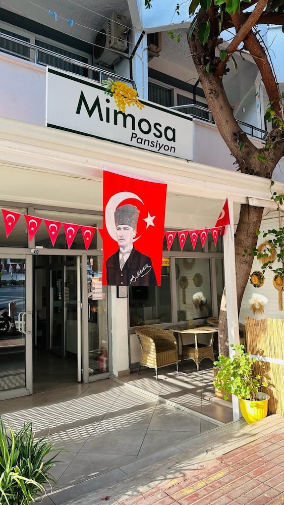 Mimosa Pension 写真1