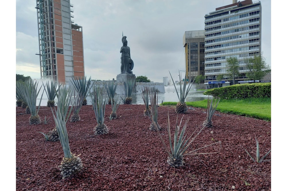 Capital O Tu Estancia Guadalajara 36/57