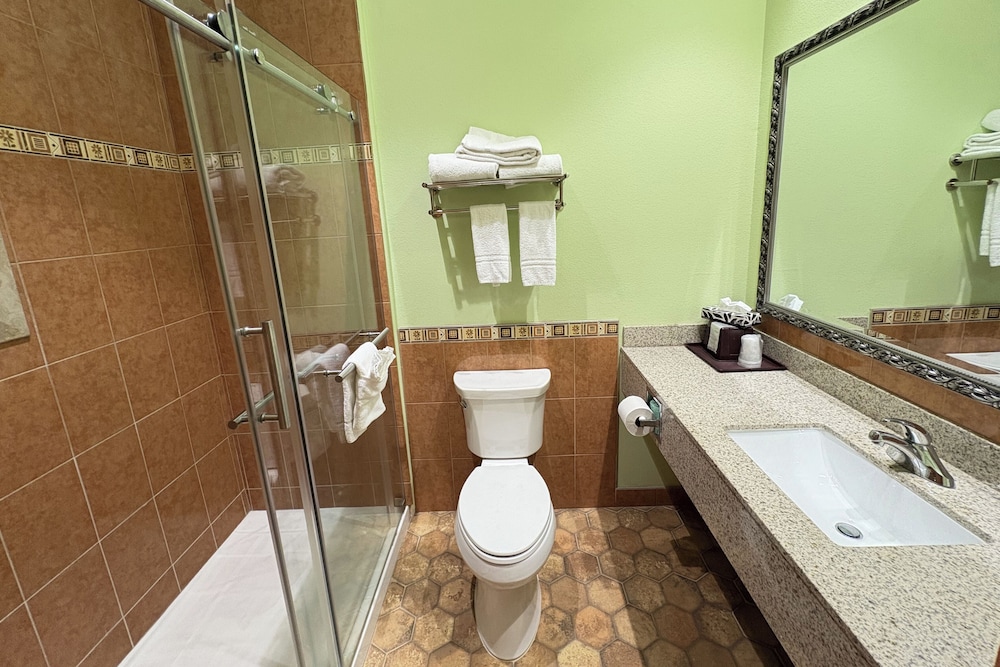 Regency Inn & Suites By Capital O Houston IAH Airport 64/66