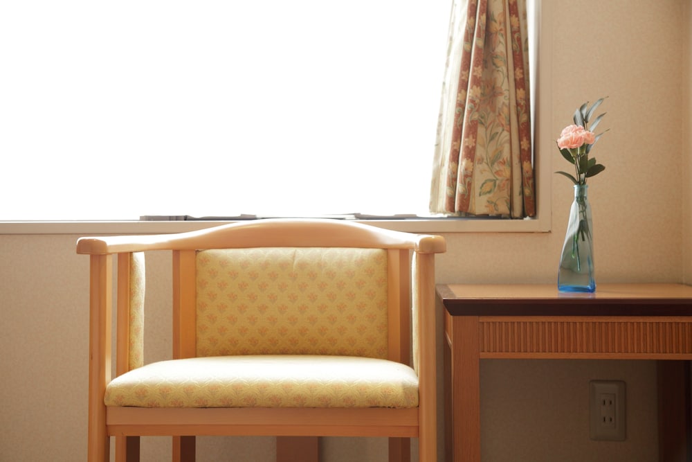 Hida Hotel Plaza 7/63