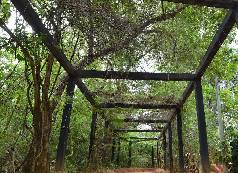 Pinthaliya Resort & Spa 24/50