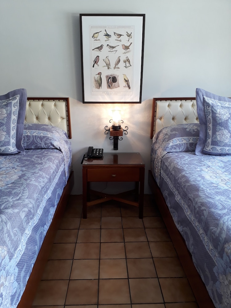 Hotel Isabel 19/65