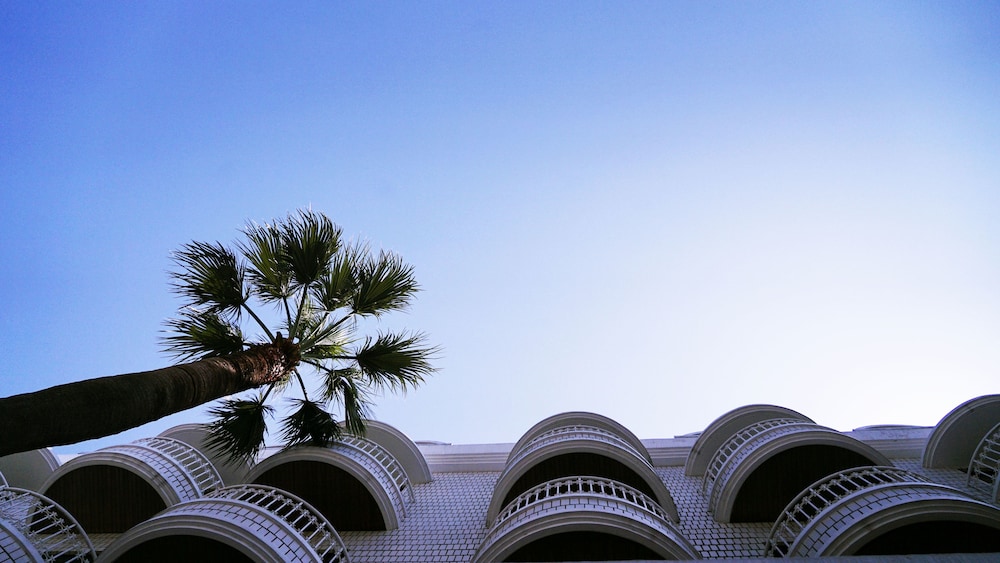 Pearl Hotel Jeju 61/63