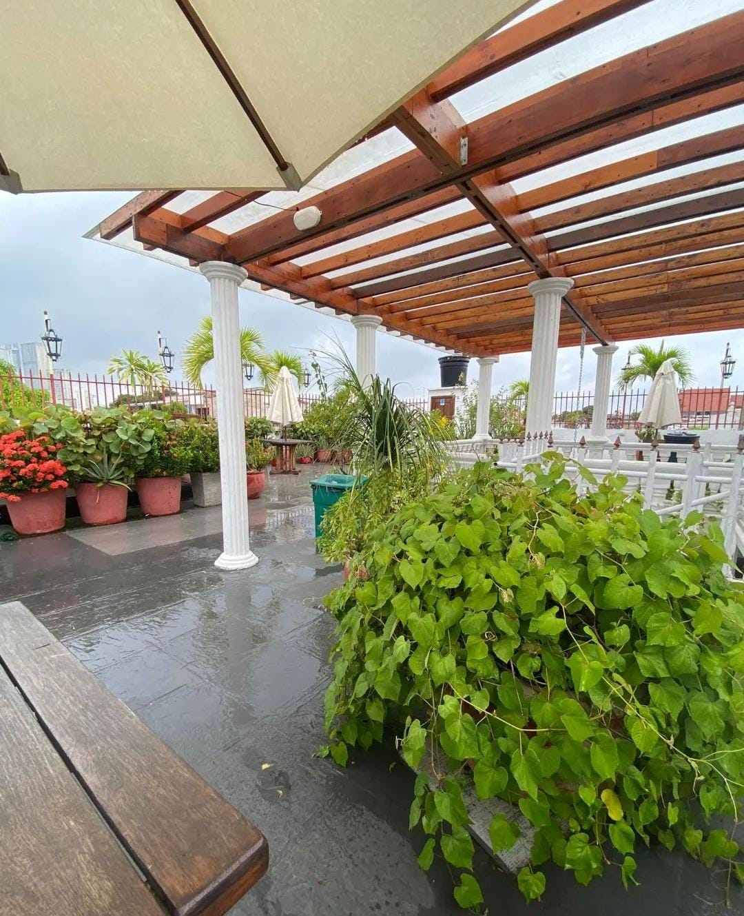 Patio de Getsemani 44/50