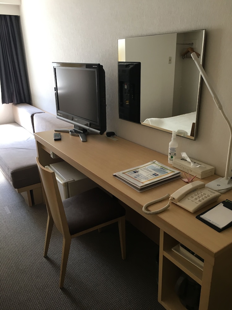 Pearl Hotel Kayabacho 25/30
