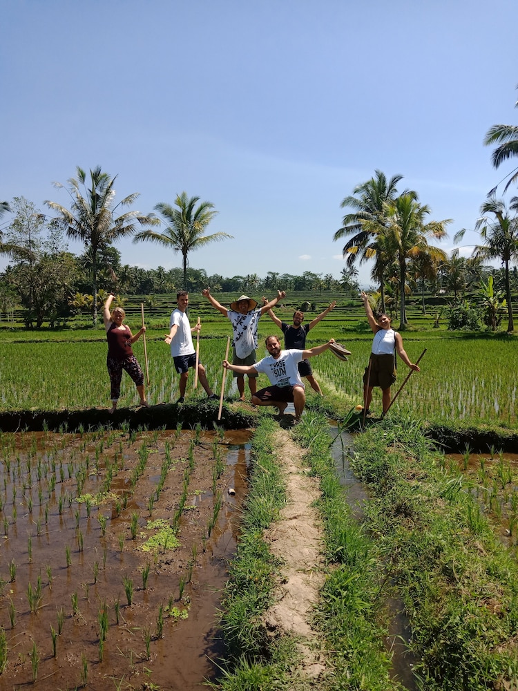 Ubud Sawah Homestay 44/50