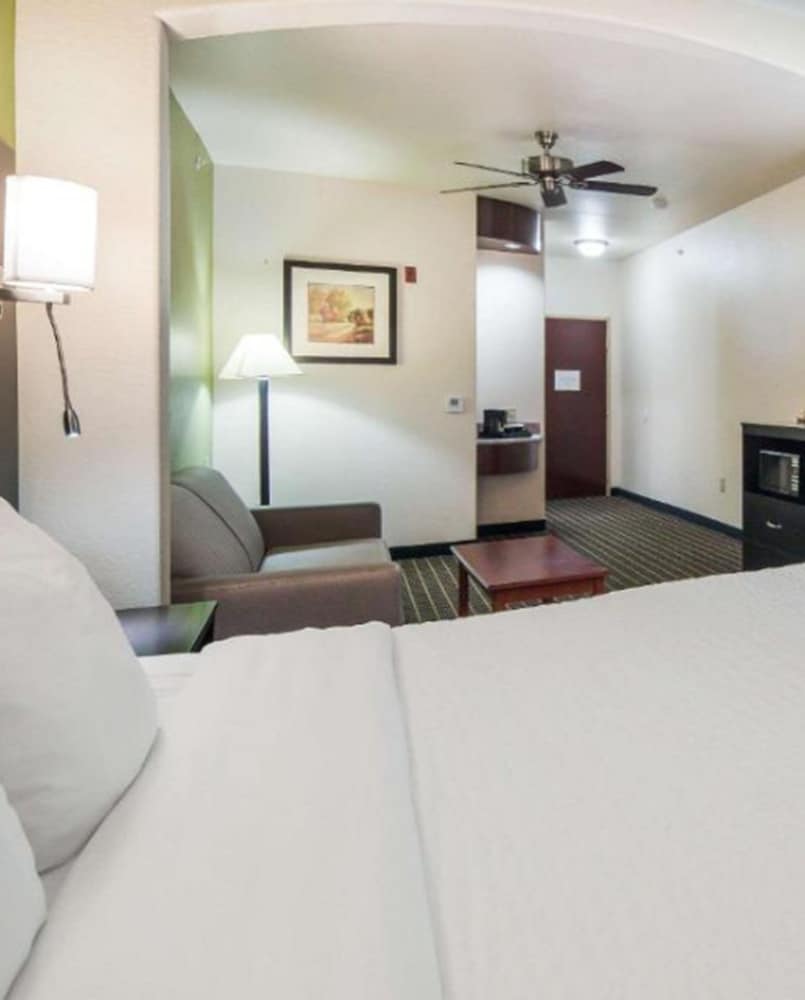 Clarion Inn & Suites Weatherford South 15/33