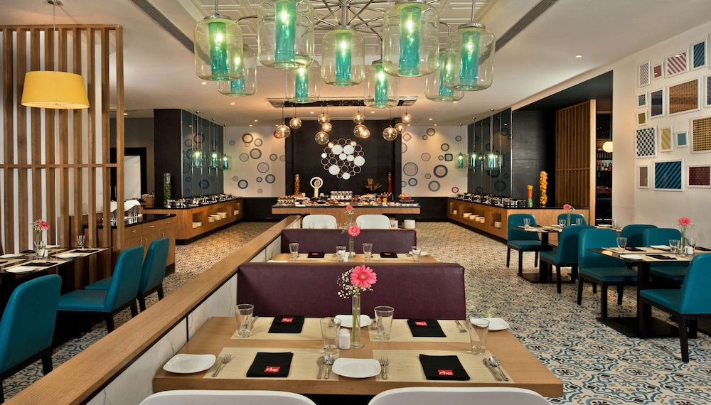 Park Inn By Radisson New Delhi Ip Extension 45/62