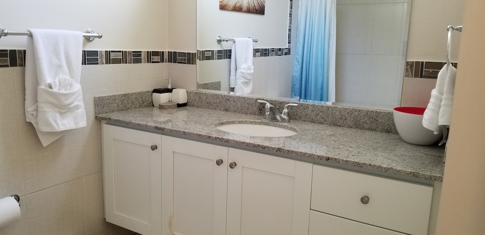 New Kingston Guest Apartment At Eight 19/26