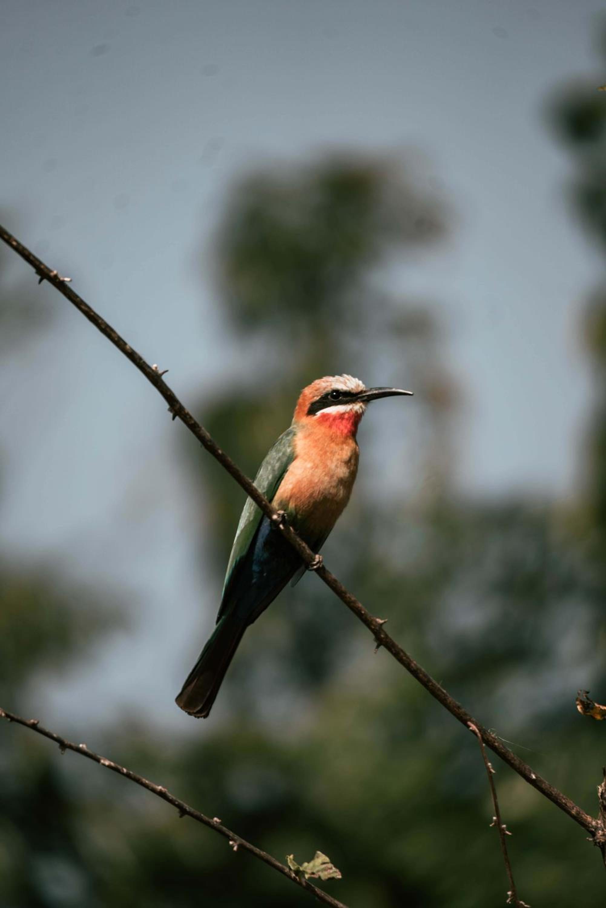 Maninghi Lodge 26/54