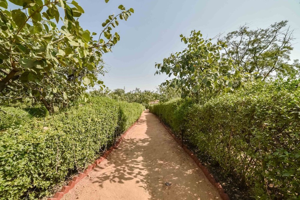 Pushkar Rajwara Resort 40/50
