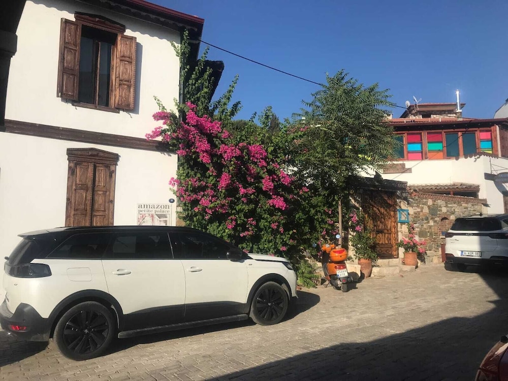 Amazon Petite Palace 38/50